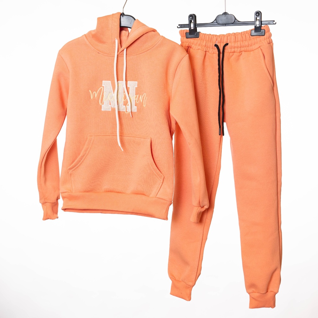 2020 Ensemble jogging saumon MI 